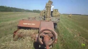 Для животных продаю чистые тюки клевера люцерна 3-укос! Тюки хорошего at lalafo.kg Для животных продаю чистые тюки клевера люцерна 3-укос! Тюки хорошего