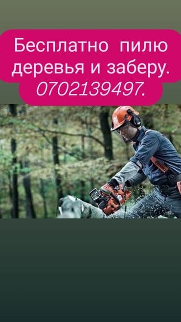 Лучшие профи думаем о вас и стараемся чтобы нравилась и цена и работа at lalafo.kg Лучшие профи думаем о вас и стараемся чтобы нравилась и цена и работа