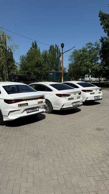 Сдаю Hyundai Sonata, Долгосрочно, С водителем, | Залог, Водительские права at lalafo.kg Сдаю Hyundai Sonata, Долгосрочно, С водителем, | Залог, Водительские права