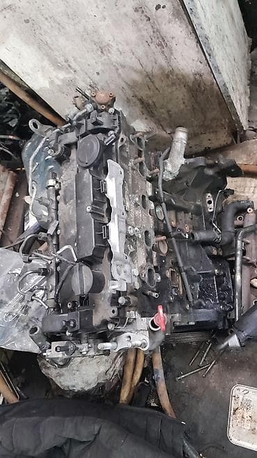 Форсункалар: Дизелдик кыймылдаткыч Ssangyong 2019 г., 1.6 л, Колдонулган, Оригинал lalafo.kg да — 1 Форсункалар: Дизелдик кыймылдаткыч Ssangyong 2019 г., 1.6 л, Колдонулган, Оригинал — 1