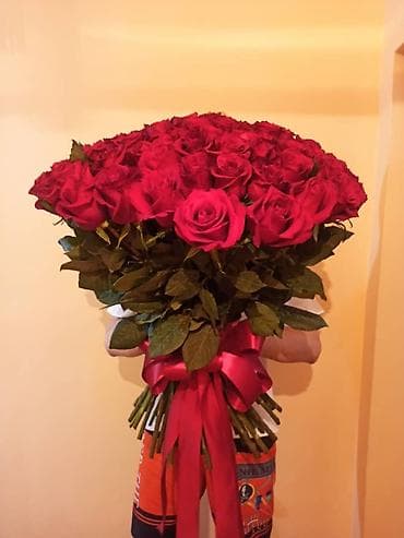 Супер Супер Акция только сегодня свежая Голландская роза 101 at lalafo.kg Супер Супер Акция только сегодня свежая Голландская роза 101