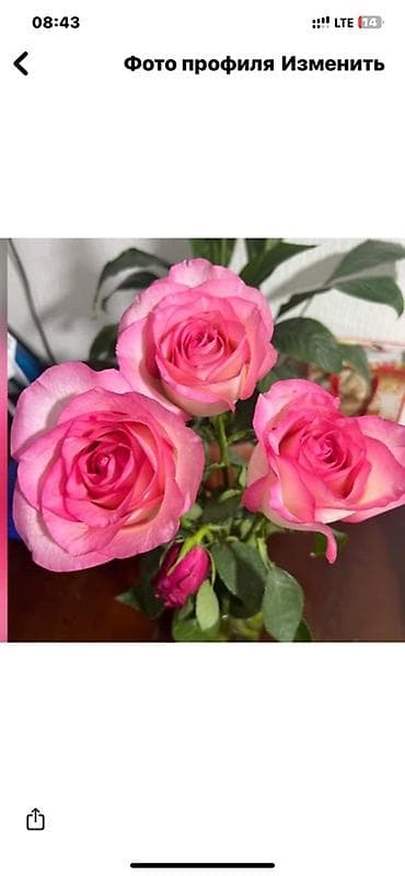 Арендага кафе же столовый керек at lalafo.kg Арендага кафе же столовый керек