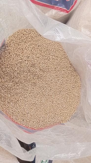 Ячмень в мешках at lalafo.kg Ячмень в мешках