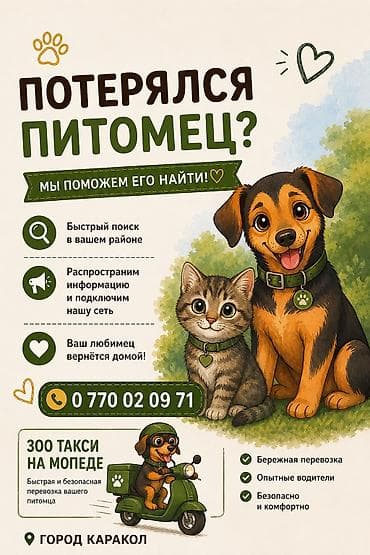 Сервис по поиску пропавших питомцев и бережной перевозке животных at lalafo.kg Сервис по поиску пропавших питомцев и бережной перевозке животных