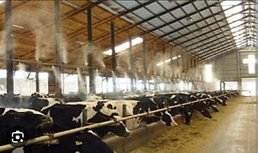 Шланг Жаңы, Өзү алып кетүү, Акылуу жеткирүү, Акысыз жеткирүү lalafo.kg да — 1 Шланг Жаңы, Өзү алып кетүү, Акылуу жеткирүү, Акысыз жеткирүү — 1