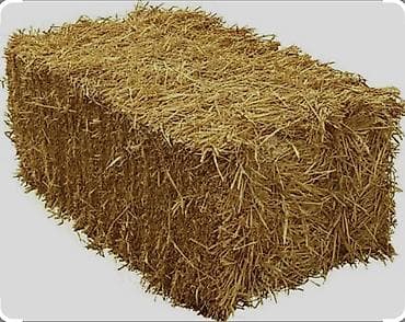 🔥🔥 Срочно! Пресс саман сатылат | Оптом арзан 🌾 Сапаттуу, кургак пресс at lalafo.kg 🔥🔥 Срочно! Пресс саман сатылат | Оптом арзан 🌾 Сапаттуу, кургак пресс