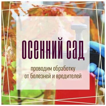 🌿 Обработка плодовых и хвойных деревьев at lalafo.kg 🌿 Обработка плодовых и хвойных деревьев