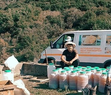 Бал чарбасын онуктурууго инвестор керек ищу инвестора для развитии и at lalafo.kg Бал чарбасын онуктурууго инвестор керек ищу инвестора для развитии и