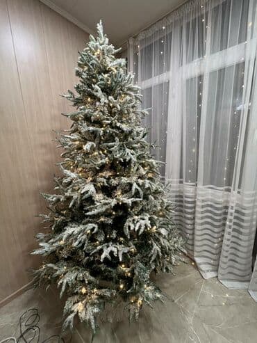 Продаю елку at lalafo.kg Продаю елку