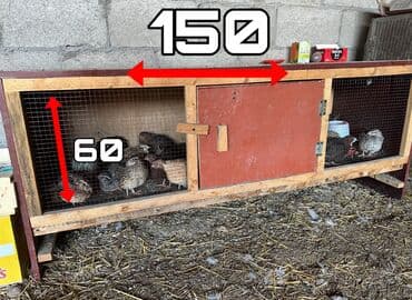 Ковролин: Продается брудер для цыплят lalafo.kg да — 2 Ковролин: Продается брудер для цыплят — 2