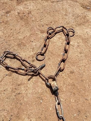 Цепи для быков и коров, толщина звена 6.5мм, все стыки хорошо at lalafo.kg — 4 Цепи для быков и коров, толщина звена 6.5мм, все стыки хорошо — 4