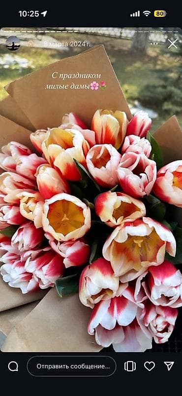 Голландские тюльпаны прямиком с теплицы, 70 см. 36 сортов, успейте at lalafo.kg Голландские тюльпаны прямиком с теплицы, 70 см. 36 сортов, успейте