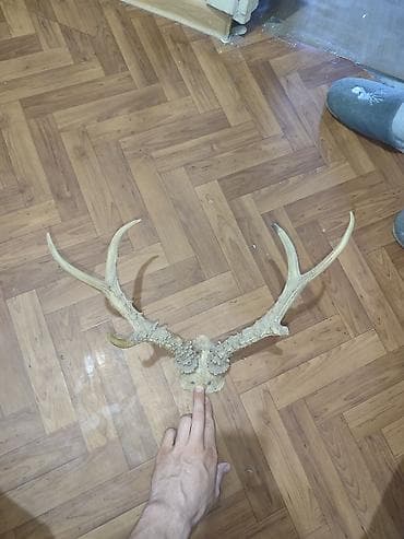 Декоративные фигуры, Самовывоз at lalafo.kg Декоративные фигуры, Самовывоз