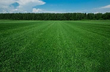 Продается 1гектор 14соток (поля) верхняя зона at lalafo.kg Продается 1гектор 14соток (поля) верхняя зона