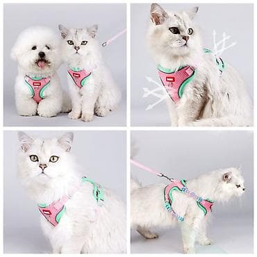 ПРОДАЮ КОВРИКИ ДЛЯ ЛОТКА ЧТОБЫ НАПОЛНИТЕЛЬ НЕ РАЗСЫПАЛСЯ ПО ДОМУ,НЕ at lalafo.kg — 2 ПРОДАЮ КОВРИКИ ДЛЯ ЛОТКА ЧТОБЫ НАПОЛНИТЕЛЬ НЕ РАЗСЫПАЛСЯ ПО ДОМУ,НЕ — 2