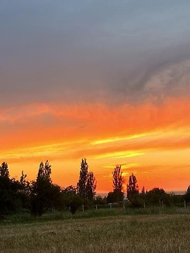 5 соток, Курулуш, Белек келишими, Башкы ишеним кат lalafo.kg да 5 соток, Курулуш, Белек келишими, Башкы ишеним кат