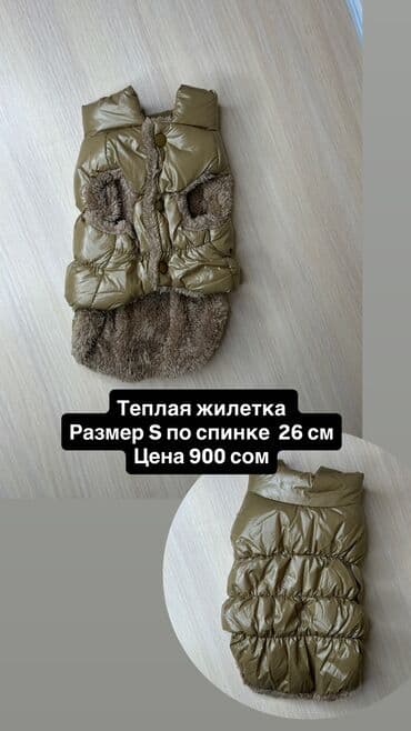 Одежда для кошек и собак. Все НОВОЕ РАЗМЕР И ЦЕНА УКАЗАНЫ НА ФОТО at lalafo.kg Одежда для кошек и собак. Все НОВОЕ РАЗМЕР И ЦЕНА УКАЗАНЫ НА ФОТО