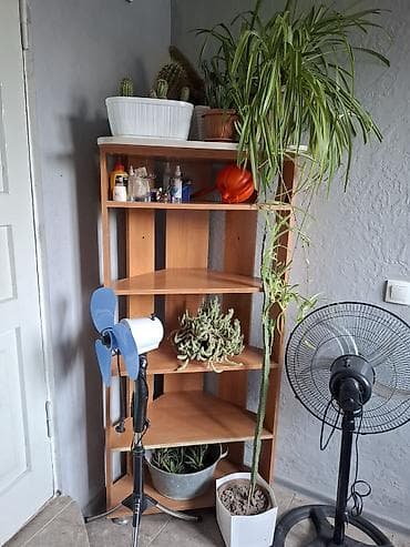 Полка для обуви, Б/у, ЛДСП, Самовывоз at lalafo.kg Полка для обуви, Б/у, ЛДСП, Самовывоз