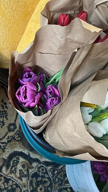 Тюльпаны к 8 Марта — опт и розница. - Свежесрезанные тюльпаны разных at lalafo.kg — 10 Тюльпаны к 8 Марта — опт и розница. - Свежесрезанные тюльпаны разных — 10