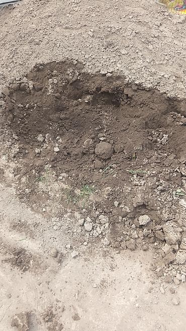 Чернозём чернозём чернозём чернозём чернозём чернозём чернозём at lalafo.kg Чернозём чернозём чернозём чернозём чернозём чернозём чернозём