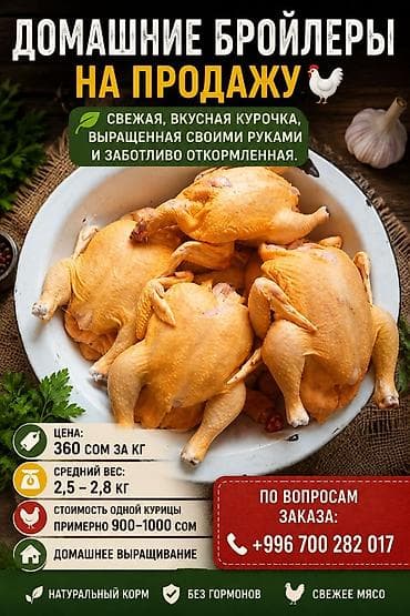Сатам | Тооктор, Короздор, Балапандар | Бройлер | Союуга lalafo.kg да Сатам | Тооктор, Короздор, Балапандар | Бройлер | Союуга