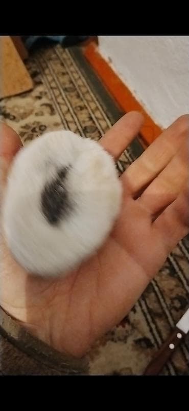 Кулон, Унисекс at lalafo.kg Кулон, Унисекс