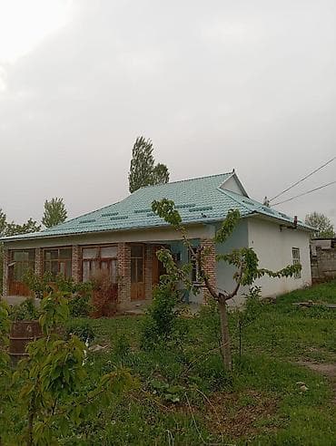 Уй сатылат, Бозогулдон, Чимген, Лейлек. Баасы келигим турдо, тел at lalafo.kg Уй сатылат, Бозогулдон, Чимген, Лейлек. Баасы келигим турдо, тел