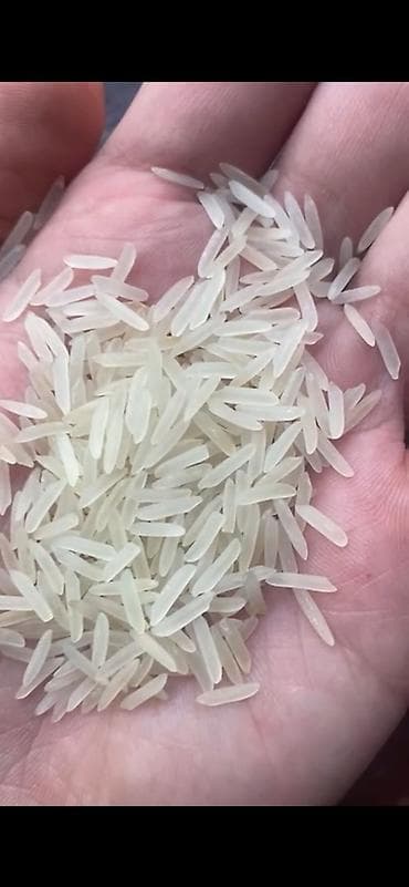 Басмати Индия. Длиннозерный рис прямиком из Индий, без посредников at lalafo.kg Басмати Индия. Длиннозерный рис прямиком из Индий, без посредников