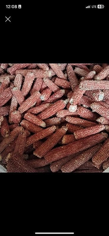 Кукурузные кочерыжки (початки без зёрен) — натуральный растительный at lalafo.kg Кукурузные кочерыжки (початки без зёрен) — натуральный растительный