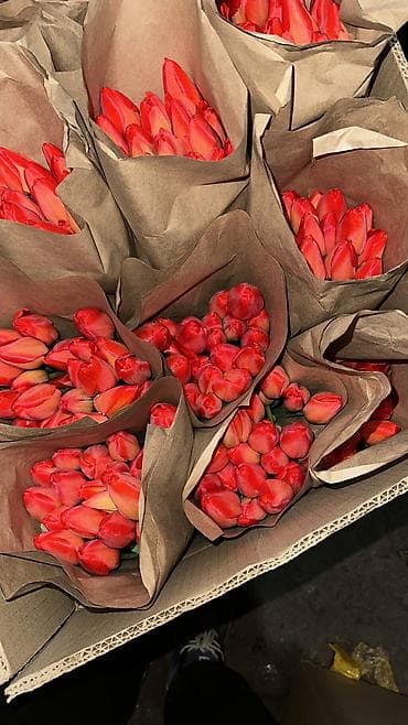 Бонбоньерки: Тюльпаны в крафтовой упаковке — срезанные бутоны на крепких стеблях at lalafo.kg — 2 Бонбоньерки: Тюльпаны в крафтовой упаковке — срезанные бутоны на крепких стеблях — 2