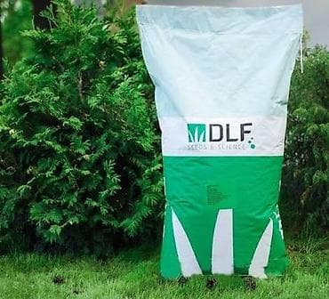 Семена газона, Газон урук. Европа Голландия✓ Самый надежный фирма в КР at lalafo.kg — 1 Семена газона, Газон урук. Европа Голландия✓ Самый надежный фирма в КР — 1