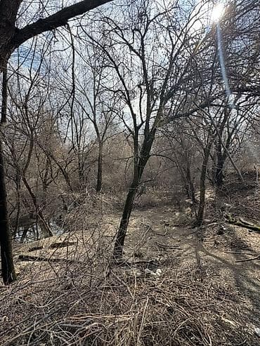 7 соток, Для строительства, Красная книга, Тех паспорт, Договор купли-продажи at lalafo.kg — 3 7 соток, Для строительства, Красная книга, Тех паспорт, Договор купли-продажи — 3