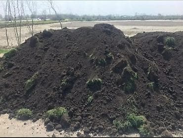 Haima: Чернозем
чернозем
портер lalafo.kg да — 2 Haima: Чернозем
чернозем
портер — 2