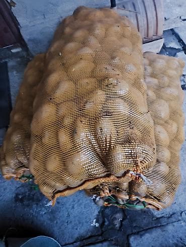 Картошка at lalafo.kg Картошка