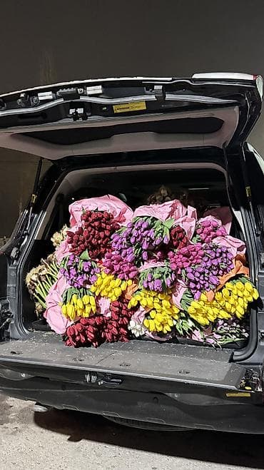 Самовывоз, Платная доставка at lalafo.kg Самовывоз, Платная доставка