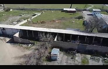 230 соток, Для бизнеса, Красная книга at lalafo.kg — 4 230 соток, Для бизнеса, Красная книга — 4