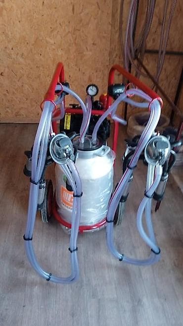 Доильный,,, доильные#доильный апарат# аппараты на две коровы, доилка lalafo.kg да — 5 Доильный,,, доильные#доильный апарат# аппараты на две коровы, доилка — 5