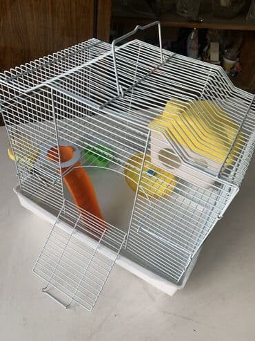 Деңиз чочколору: Клетка хомячка двухуровневая поилка, кормушка, домик, колесо, горка lalafo.kg да — 1 Деңиз чочколору: Клетка хомячка двухуровневая поилка, кормушка, домик, колесо, горка — 1