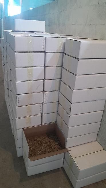 Грецкий орех очищенный - Ядра грецкого ореха, очищенные от скорлупы - lalafo.kg да — 2 Грецкий орех очищенный - Ядра грецкого ореха, очищенные от скорлупы - — 2