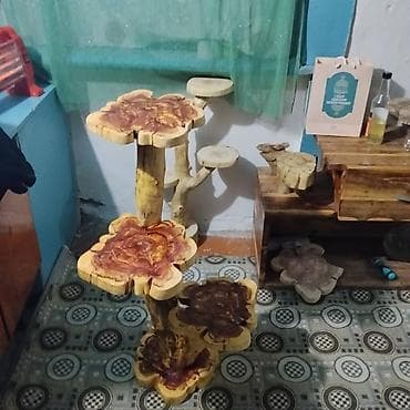 Дүкөн үчүн текчелер: Гүлдөр үчүн текче, этажерка, Жыгач lalafo.kg да — 5 Дүкөн үчүн текчелер: Гүлдөр үчүн текче, этажерка, Жыгач — 5