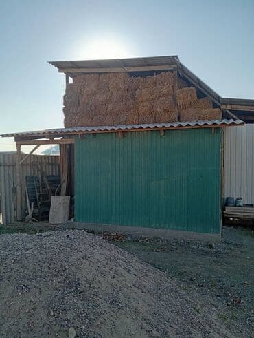 Чөп сатылат 800 тюк район Аэропорт at lalafo.kg Чөп сатылат 800 тюк район Аэропорт