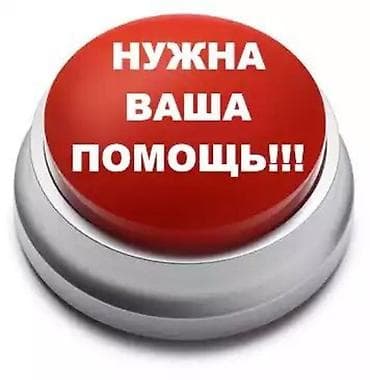 Здравствуйте! Просьба откликнуться неравнодушных людей помочь нам кто at lalafo.kg Здравствуйте! Просьба откликнуться неравнодушных людей помочь нам кто