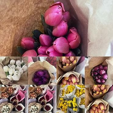 Бонбоньерки: Тюльпаны в крафт-упаковке - Срезанные тюльпаны с плотным бутоном at lalafo.kg — 3 Бонбоньерки: Тюльпаны в крафт-упаковке - Срезанные тюльпаны с плотным бутоном — 3