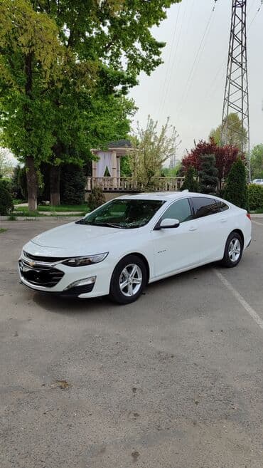 Chevrolet Malibu: 2019 г., 1.3 л, Вариатор, Бензин, Седан at lalafo.kg Chevrolet Malibu: 2019 г., 1.3 л, Вариатор, Бензин, Седан