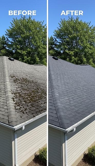 пол краска: Профессиональная покраска и реставрация фасадов и интерьеров - at lalafo.kg — 3 пол краска: Профессиональная покраска и реставрация фасадов и интерьеров - — 3