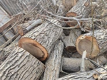 Дрова at lalafo.kg Дрова