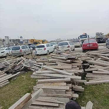 Хвоя at lalafo.kg Хвоя