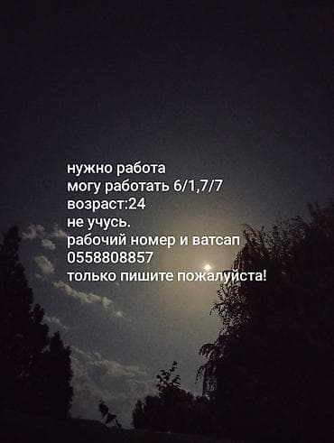 Услуга: соискатель на полную занятость - Готов работать по графику at lalafo.kg Услуга: соискатель на полную занятость - Готов работать по графику