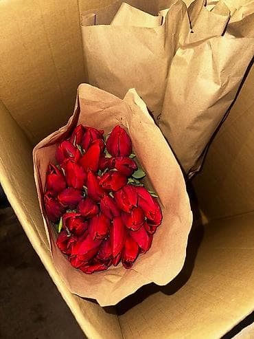 Бонбоньерки: В наличии Тюльпаны🌷💐 имеются в ярких и разных цветах . также есть at lalafo.kg — 8 Бонбоньерки: В наличии Тюльпаны🌷💐 имеются в ярких и разных цветах . также есть — 8