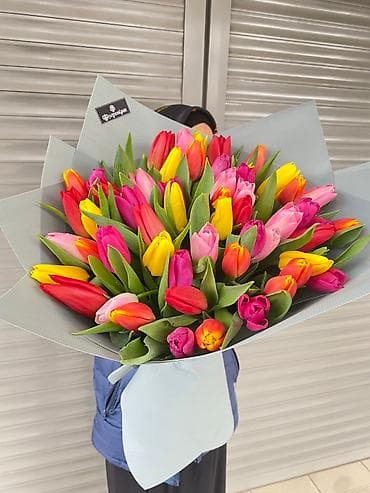 Tesla: Корпоративные заказы оптом ! lalafo.kg да — 6 Tesla: Корпоративные заказы оптом ! — 6